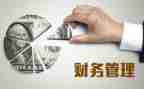 关于财务年终总结的范文优质8篇