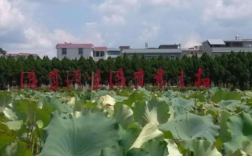 才溪党员心得体会最新8篇