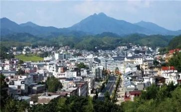 才溪调查心得体会最新6篇