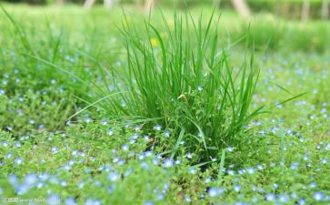 《草船借箭》读后感最新5篇
