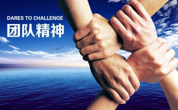 环保袋活动策划模板6篇