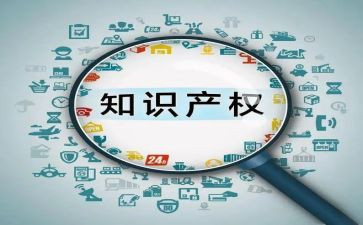 心得体会知识产权6篇