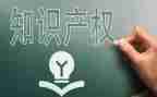 2024年知识产权宣传周活动总结6篇