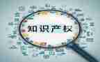 心得体会知识产权6篇