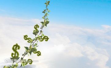 成长之心得体会优质6篇