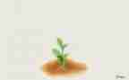 讲成长心得体会推荐8篇