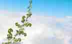 成长有关的作文优秀8篇