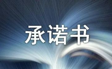安全网络承诺书8篇