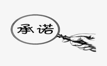 党员承诺书个人承诺书7篇