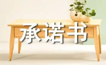 产品售后服务承诺书范文5篇