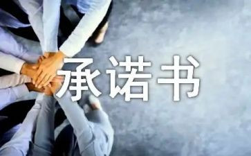 供货及售后服务承诺书5篇