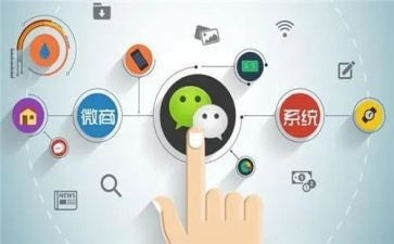 程序员自我鉴定参考6篇