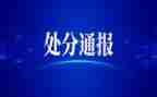 处分以后的思想汇报7篇