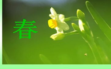 关于青春的大学生演讲稿最新8篇