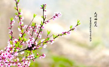 看春节心得体会最新7篇