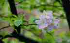 幼儿园春节活动总结范文6篇