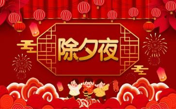除夕晚会心得体会6篇