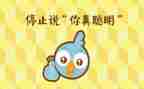 《聪明的小鸡》教案7篇