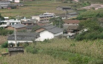 村情况调研报告5篇