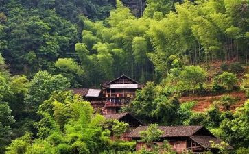 农村调研报告优质6篇