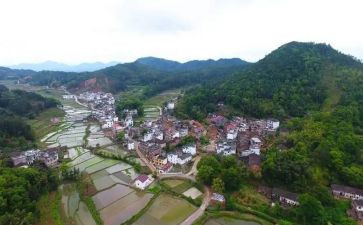 大学生到村工作总结5篇