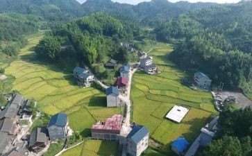 村党支部年终总结通用5篇
