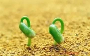 成长需要挫折优秀作文7篇