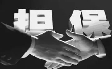 被担保合同优质8篇
