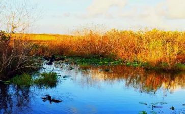 读后感捣蛋鬼日记读后感8篇