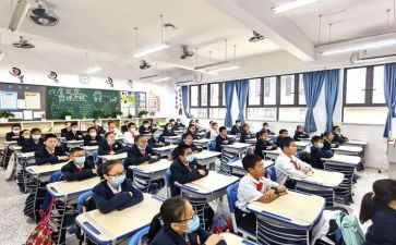 毕业就业指导课心得体会8篇