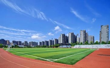 心得体会军训500字大学参考8篇