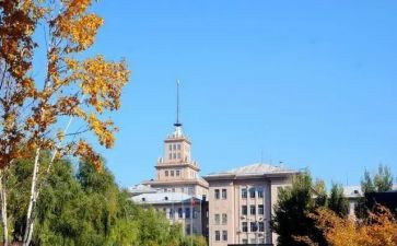 心得体会军训500字大学5篇