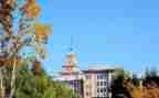 心得体会军训500字大学5篇