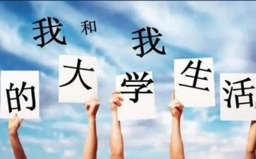 会计大一实习心得体会8篇