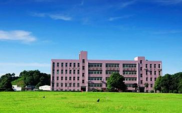 大学生大专毕业自我鉴定6篇