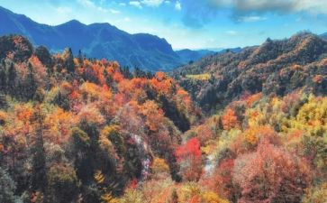 评《登高》作文优秀7篇