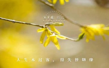 初中得与失心得体会参考8篇