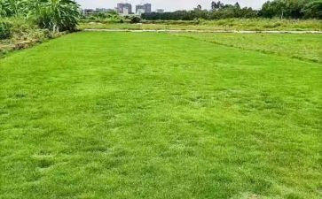 2024年工地年终总结最新7篇