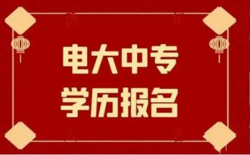 电大学心得体会优质5篇
