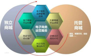 学电商的心得体会精选6篇