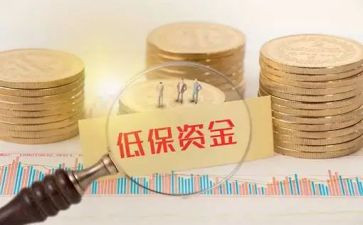 社区低保工作总结范文8篇