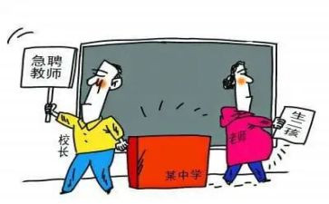 实习顶岗心得体会模板8篇