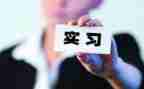 学生顶岗自我鉴定模板5篇