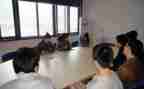 学生顶岗自我鉴定优秀7篇