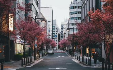 观《东京审判》心得体会6篇