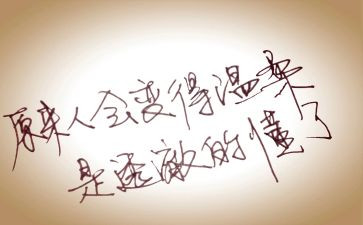 母爱,我懂了作文8篇
