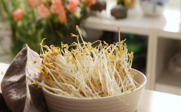 豆芽作文精选8篇
