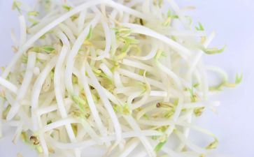 豆芽作文参考5篇
