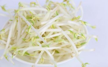 豆芽作文8篇