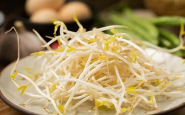 豆芽生长记作文5篇